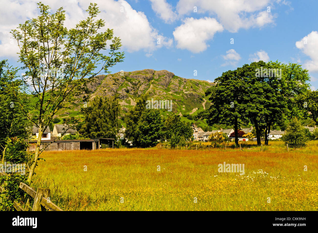 Die Hänge des Old Man of Coniston steigen hinter dem Dorf Blick auf Weideflächen voll von einheimischen Wildblumen und Gräser Stockfoto