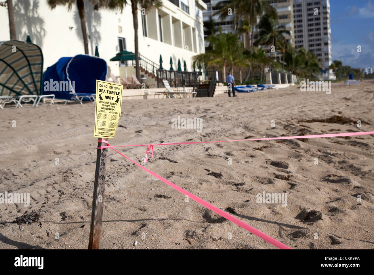 Sea Turtle Nest abgesperrt vor Ferienwohnungen Hotels und am Strand Entwicklungen Fort Lauderdale beach Florida Usa Stockfoto