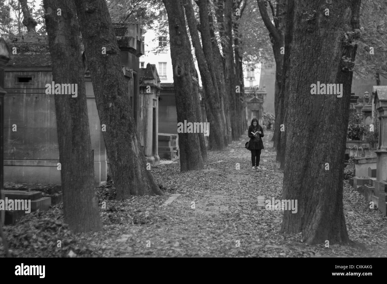 Lesung im Père Lachaise Stockfoto