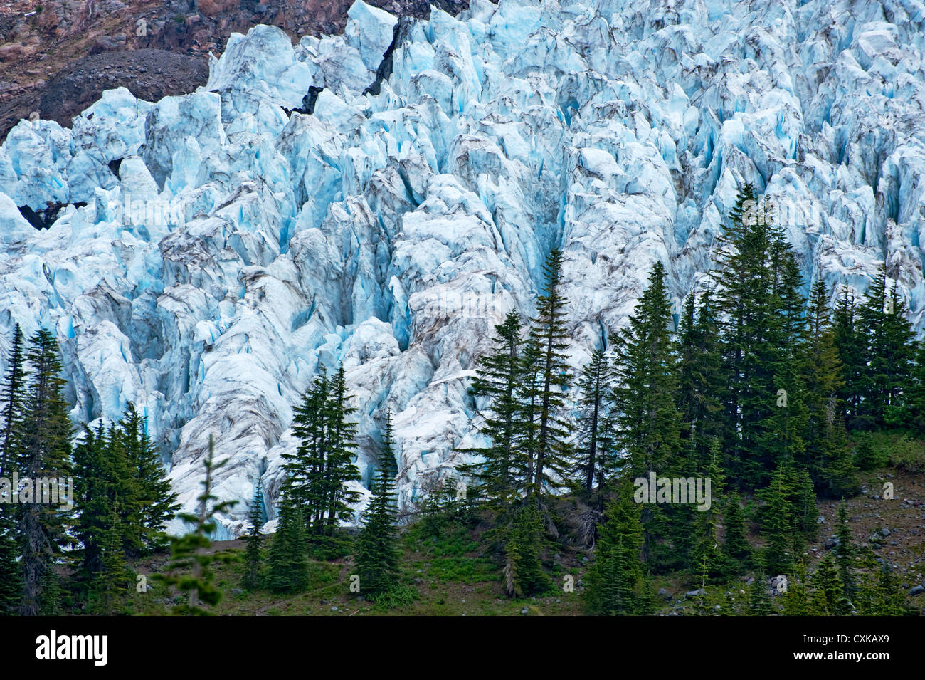 Die Coleman-Gletscher von Heliotrop Höhenweg im Mt. Baker National Forest gesehen. US-Bundesstaat Washington. Stockfoto