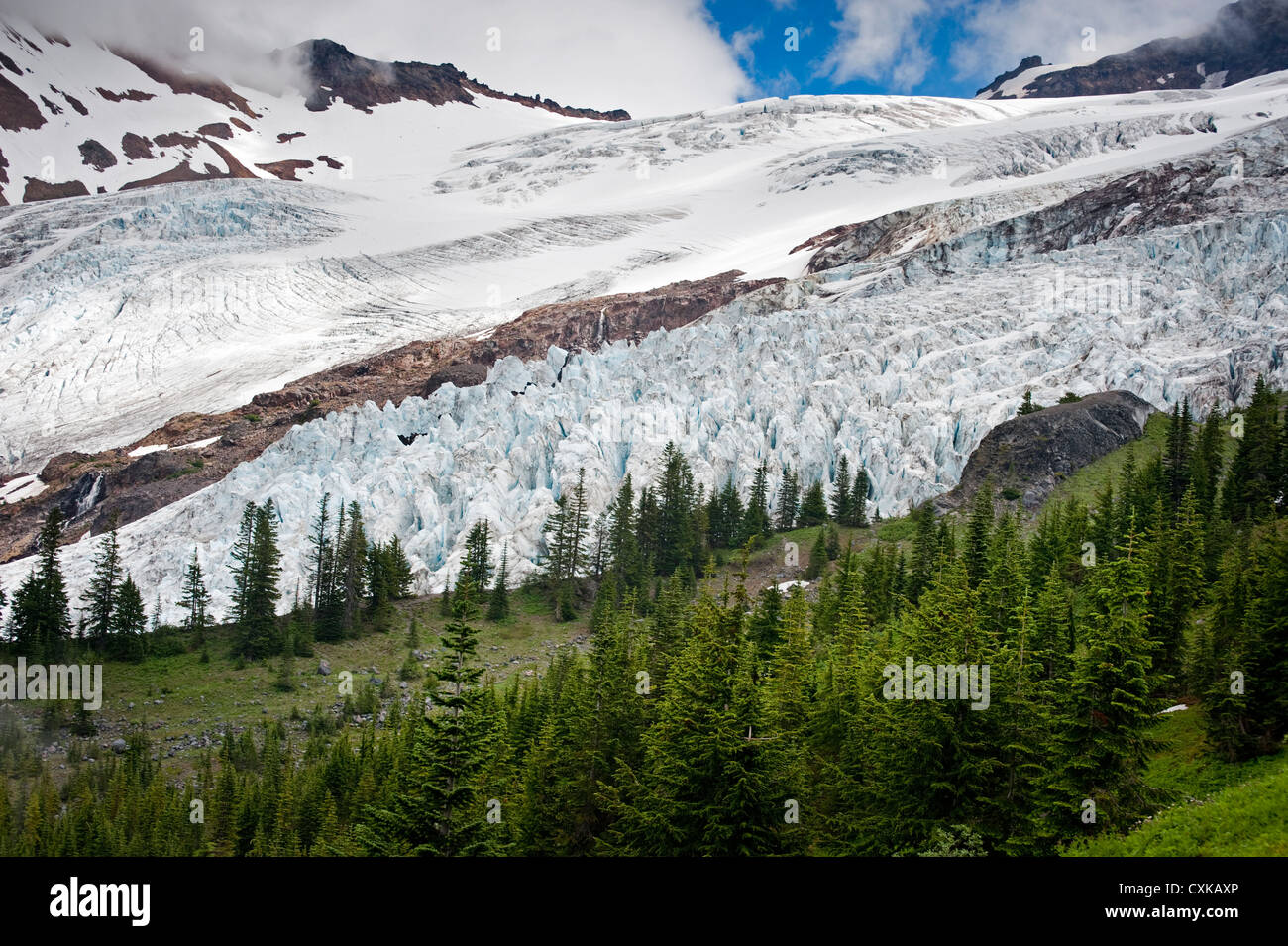 Die Coleman-Gletscher von Heliotrop Höhenweg im Mt. Baker National Forest gesehen. US-Bundesstaat Washington. Stockfoto