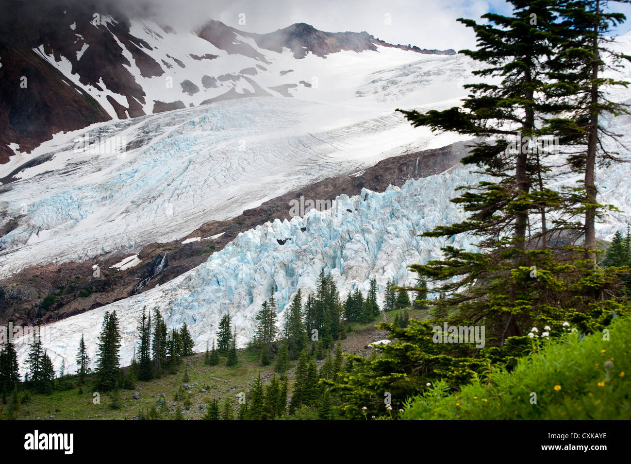 Die Coleman-Gletscher von Heliotrop Höhenweg im Mt. Baker National Forest gesehen. US-Bundesstaat Washington. Stockfoto