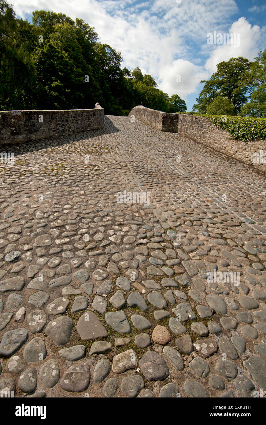 Brig o Doon ', einem späten mittelalterlichen gewölbten Brücke über den Fluß Doon, Alloway, Ayrshire. Schottland.   SCO 8571 Stockfoto