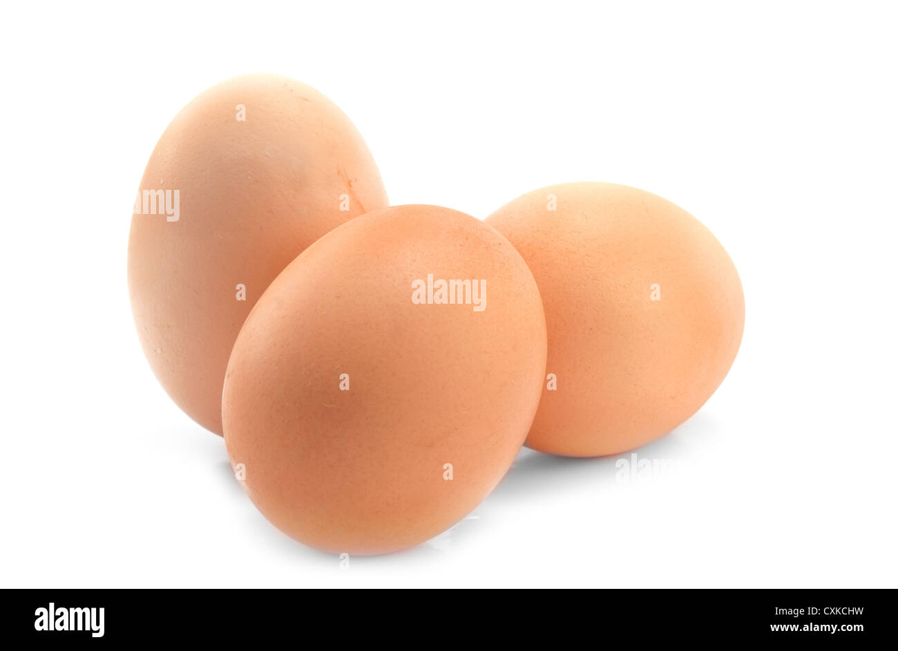 Eiern auf weißem Hintergrund Stockfoto