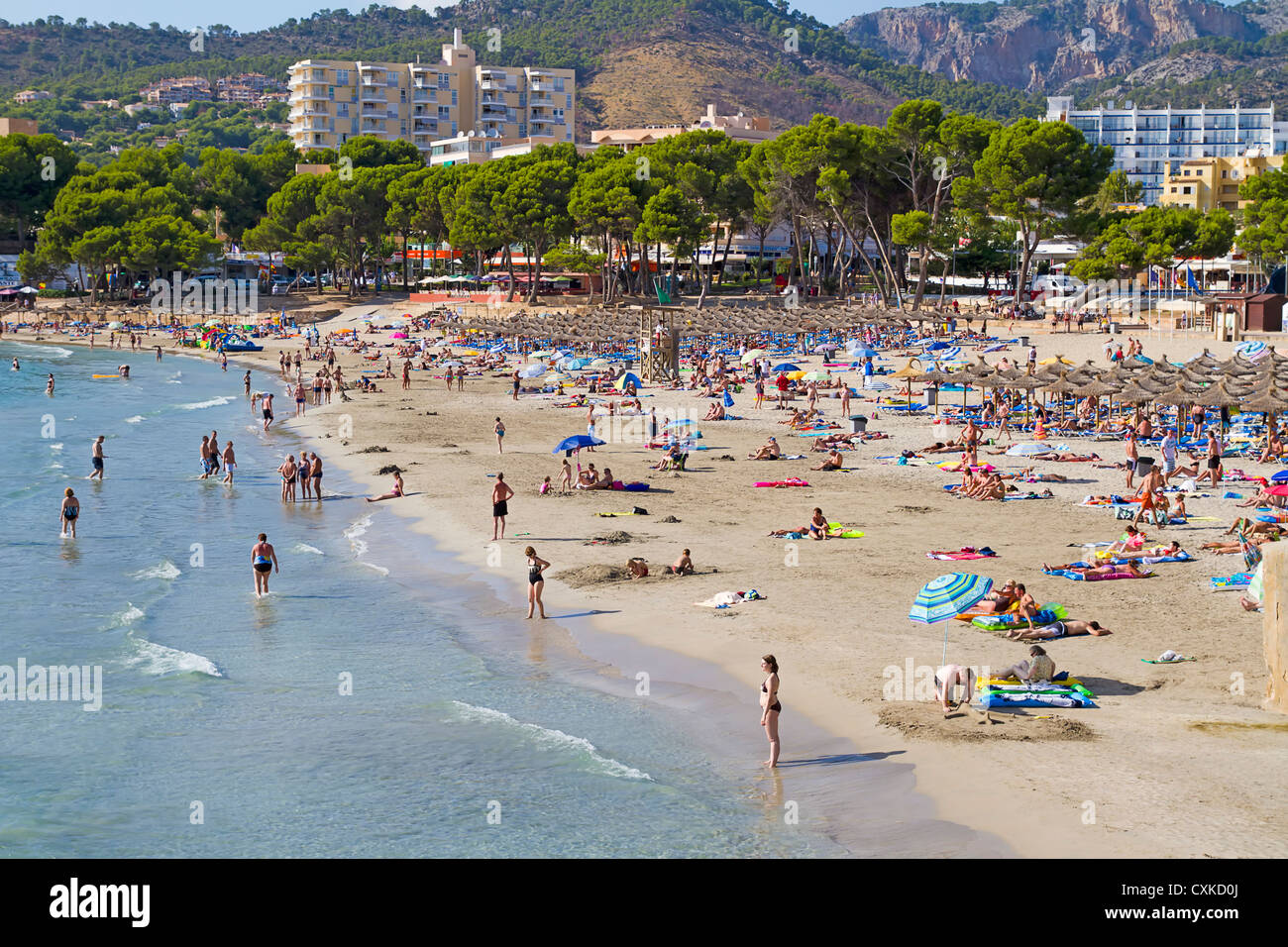 Peguera Strand in Mallorca, Spanien Stockfoto