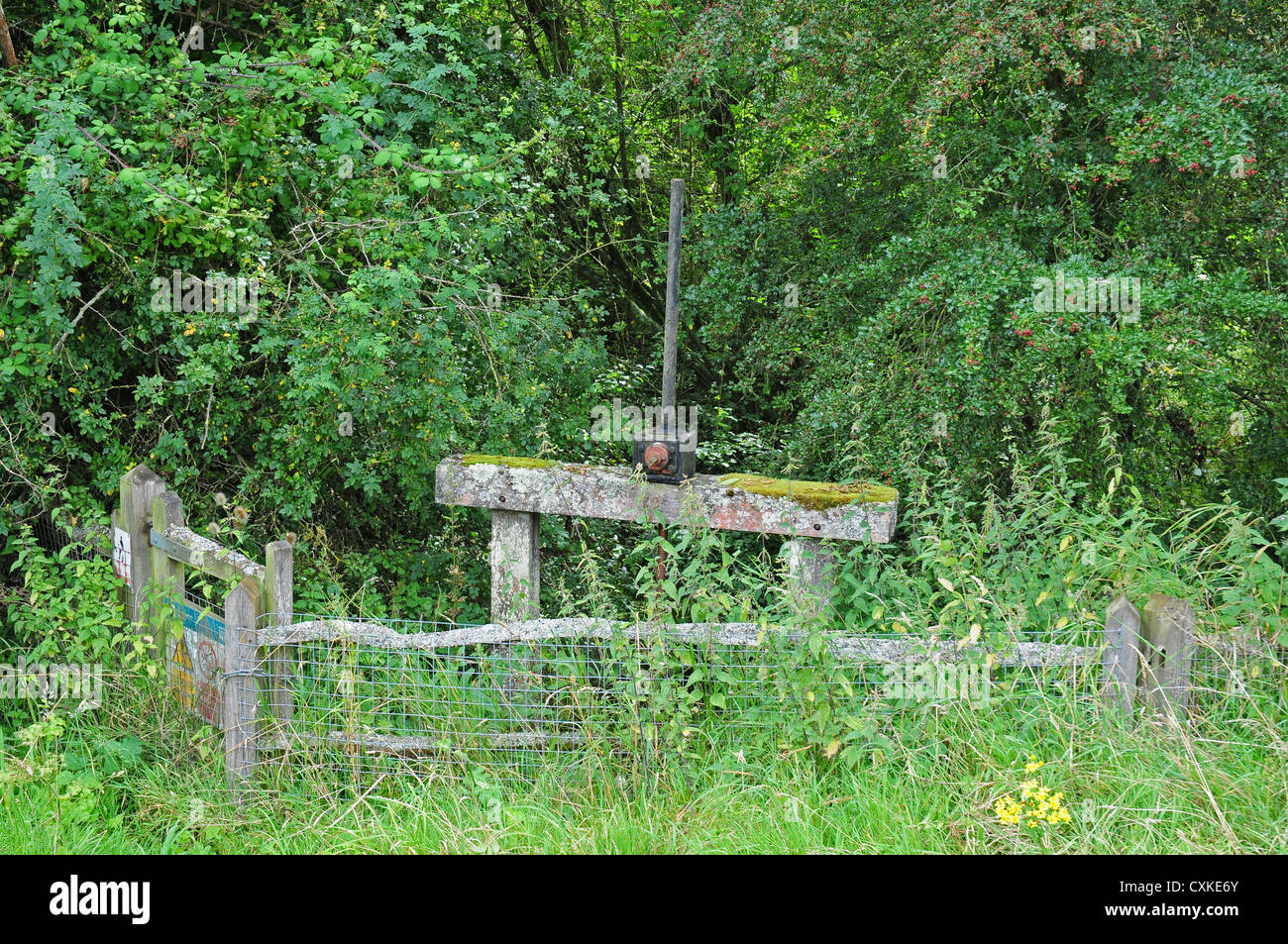 Alte Schleuse auf dem Fluss Arun in der Nähe von South Stoke. Stockfoto