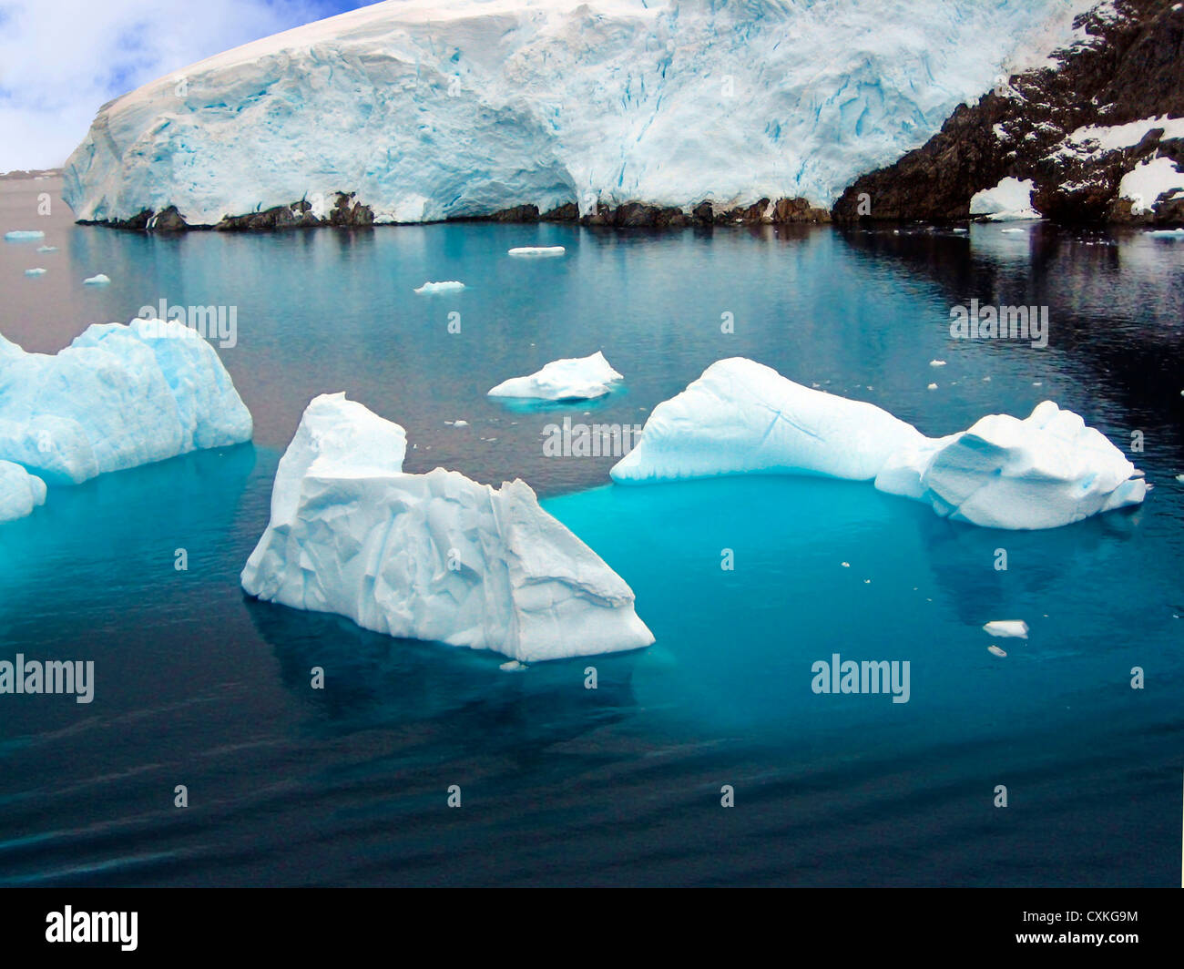 Eisberge schwimmen im Meer, Paradise Bay, antarktische Halbinsel, Antarktis Stockfoto