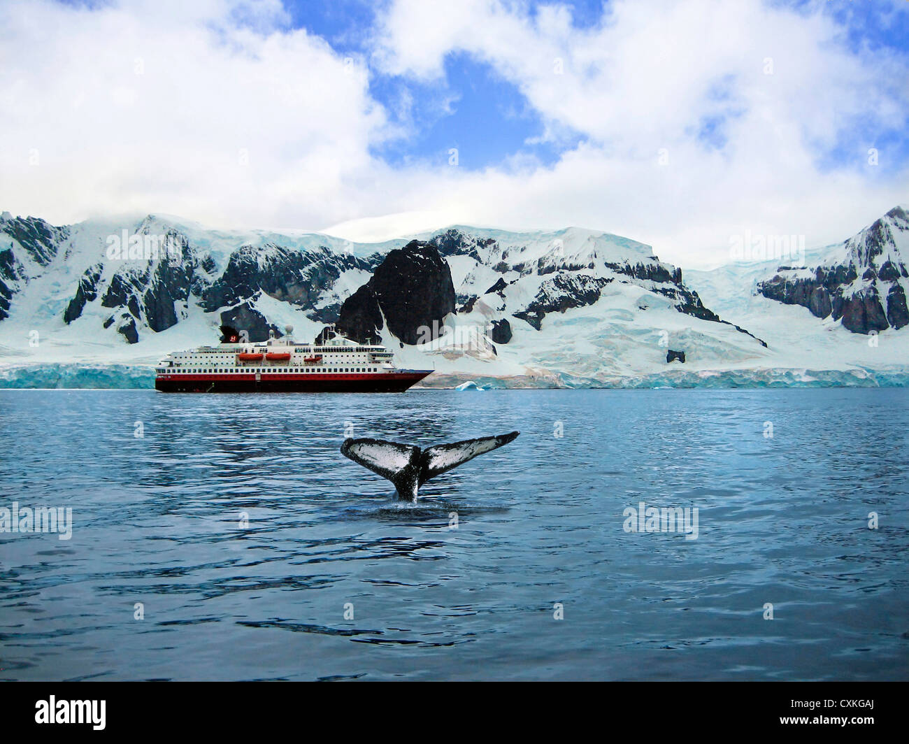 Ein Kreuzfahrtschiff in Neko Harbor, Gerlache Strait, antarktische Halbinsel, Antarktis, polaren Regionen verankert Stockfoto