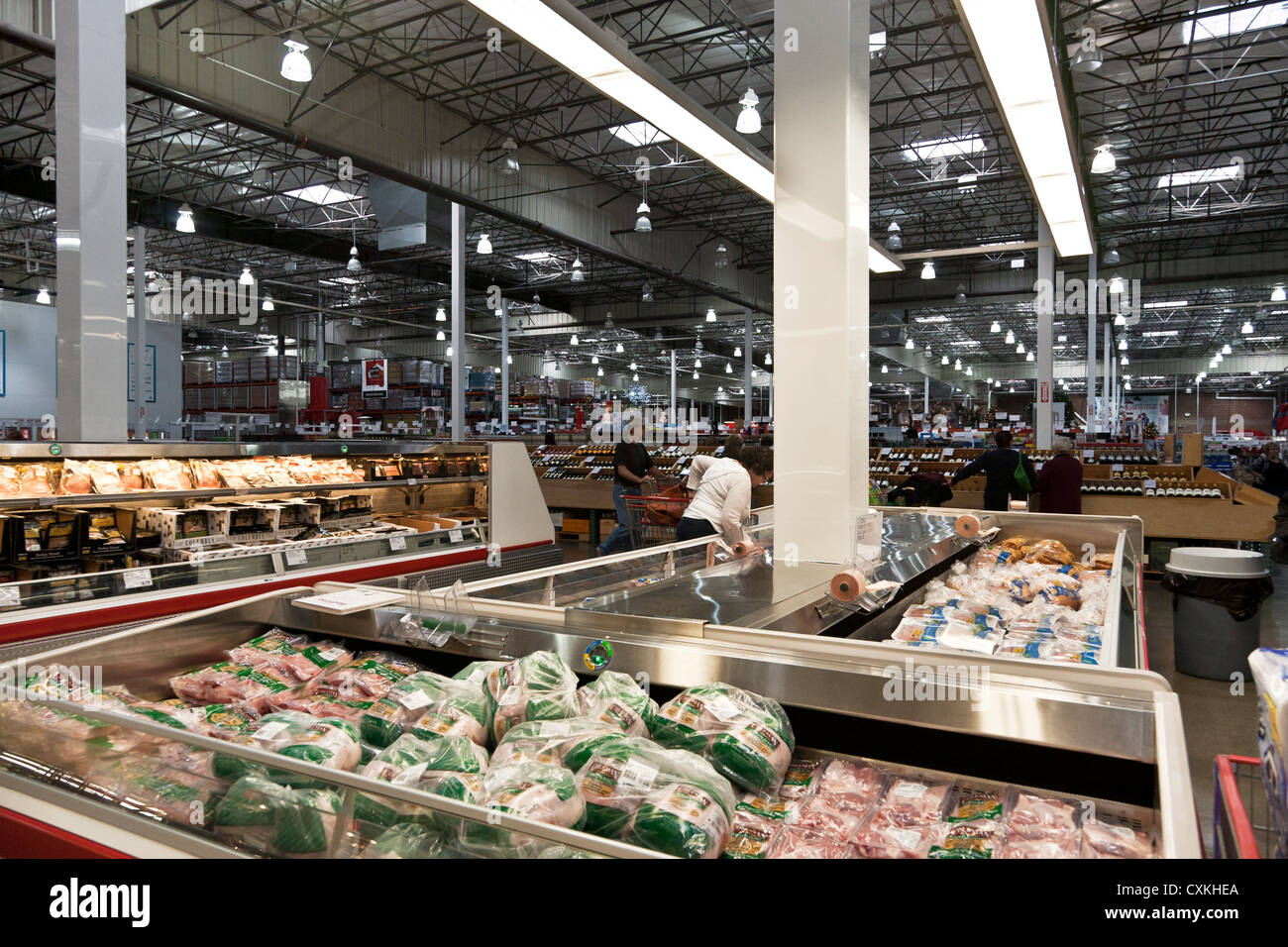Mitglieder durchsuchen große Gefriertruhe Truhen der Tiefkühlkost Abschnitt im riesigen Innenraum von Costco-große Box-Lager-Kette-Händler USA Stockfoto