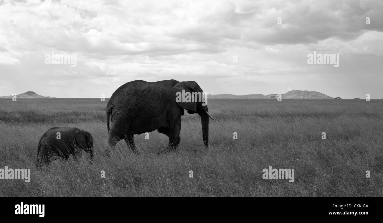 Mutter und Kind Fuß über der Savanne. Serengeti Nationalpark, Tansania. Stockfoto