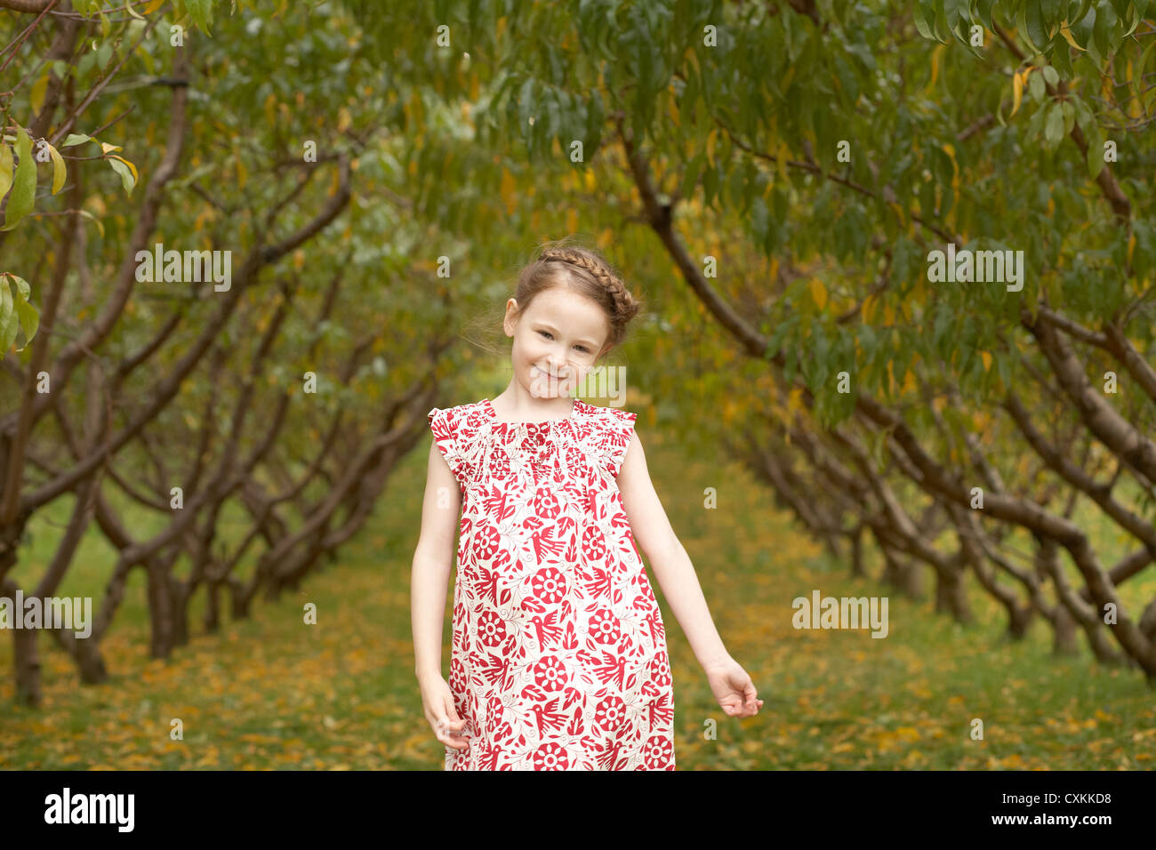 Mädchen tanzen durch die Pfirsichbäume Stockfoto