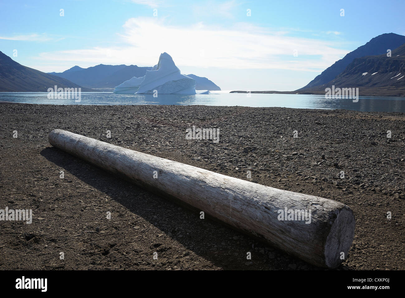 Baumstamm auf Strand, Romer Fjord, Ostgrönland, Grönland Stockfoto