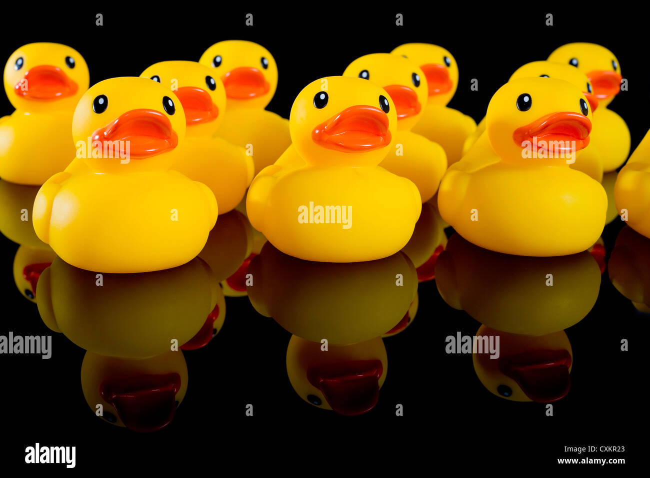 Gelbe Gummienten in Reihen auf einem schwarzen Hintergrund, Konformität Thema Stockfoto