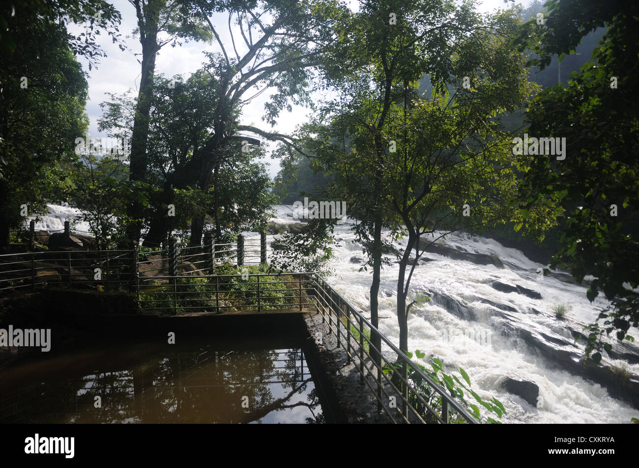 Athirappilly fällt Athirappilly ist beliebt bei Touristen. Athirappilly Falls ist eines der besten Sehenswürdigkeiten in Kerala, Indi Stockfoto