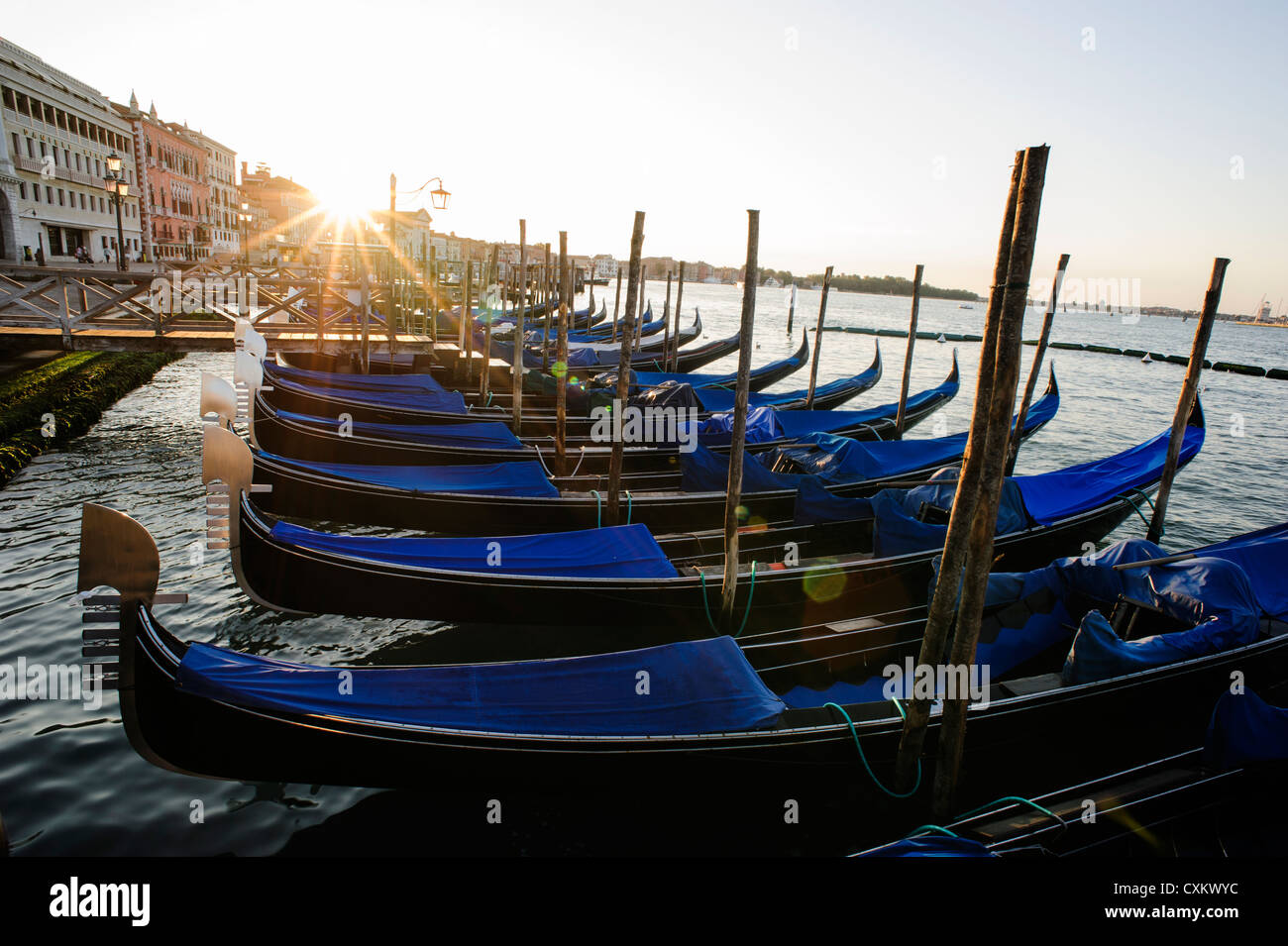 Gondeln festgemacht an das Markusbecken bei Sonnenaufgang, Venedig, Italien. Stockfoto