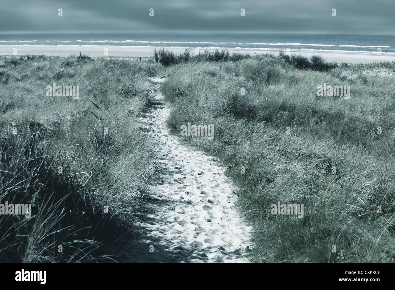 Strand Borkum Deutschland Düne Natur Himmel Wolken Dünenlandschaft relax Insel Nordsee im Herbst Tourismus breite Rasen Schweigen Stille Stockfoto