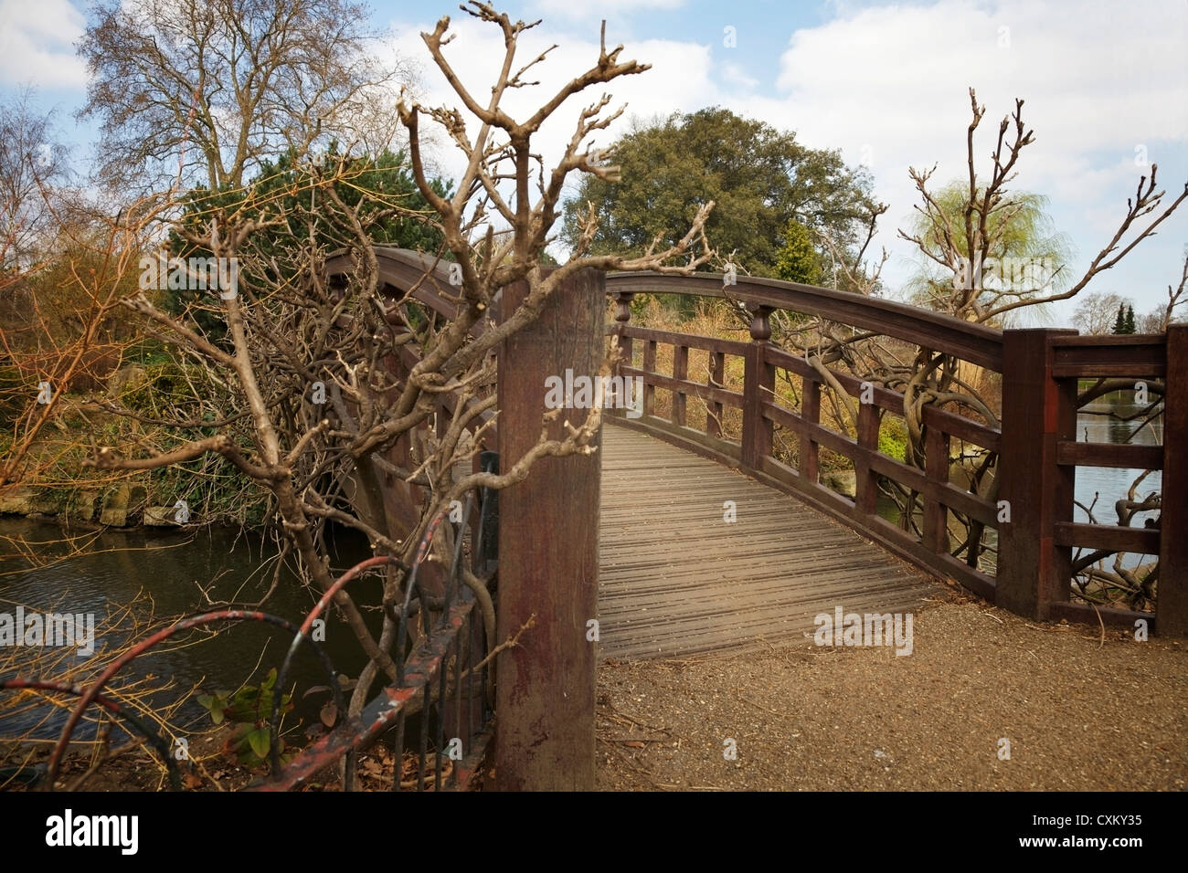 Eine kleine Fußgängerbrücke mit Zweigen umschlungen im Queen Mary Gärten, Regents Park, London, UK. Stockfoto