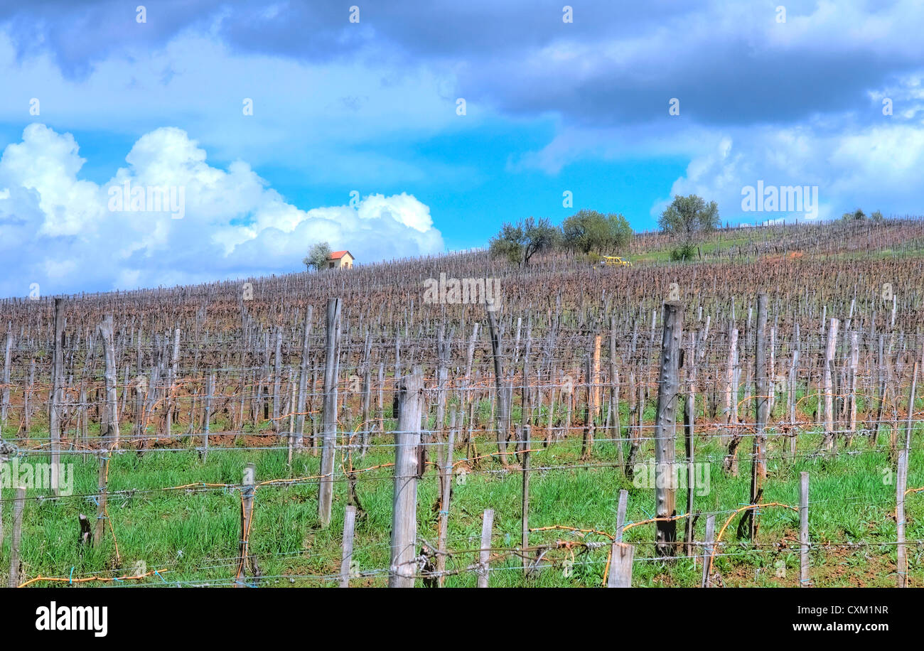 Weingut in den Hügeln von Tokaj in Nordungarn Stockfoto