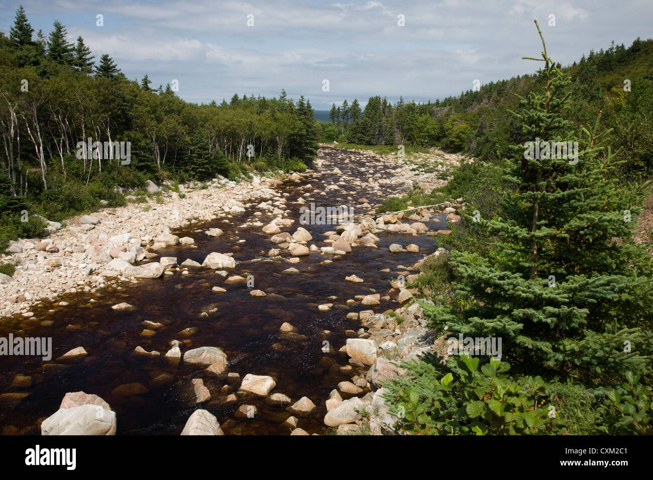 Mackenzie River auf dem Cabot Trail, Cape Breton, Nova Scotia Stockfoto