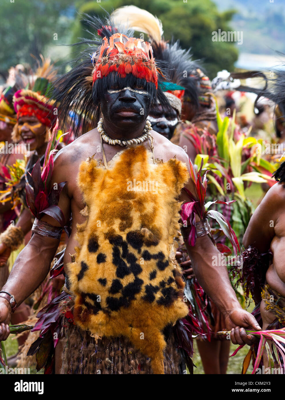 Mann trägt traditionelle Stammes-Kostüm bestehend aus Tierhäuten und Federn bei Singsing Goroka Festival, Papua-Neu-Guinea Stockfoto
