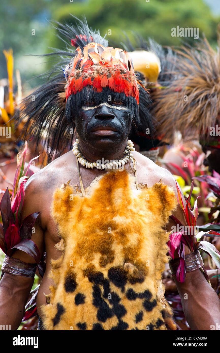 Mann trägt traditionelle Stammes-Kostüm bestehend aus Tierhäuten und Federn bei Singsing Goroka Festival, Papua-Neu-Guinea Stockfoto