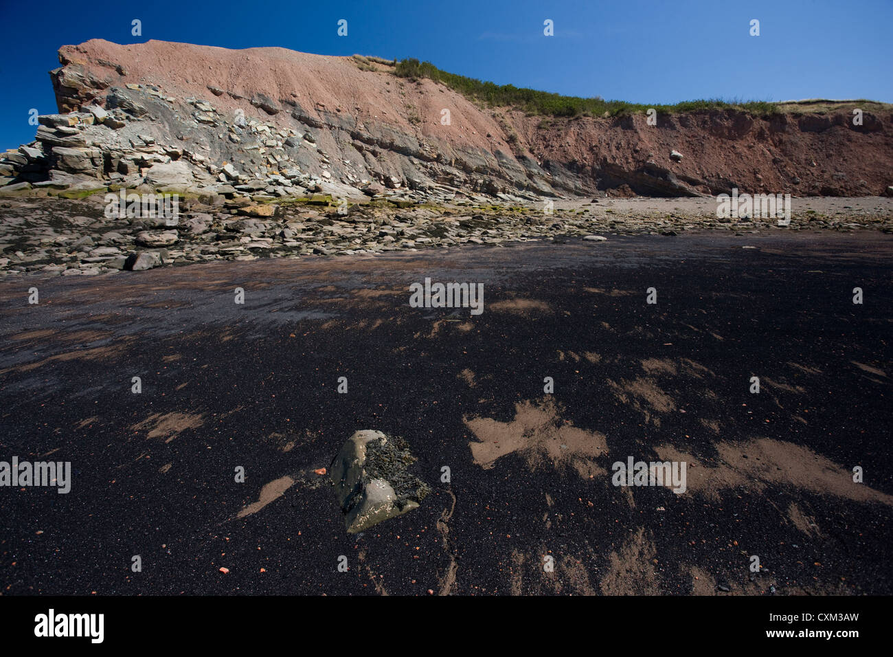 Die fossilen Strand und Klippen bei Joggins, Nova Scotia, mit charakteristischen roten Felsen und Steinkohle Sand am Strand Stockfoto