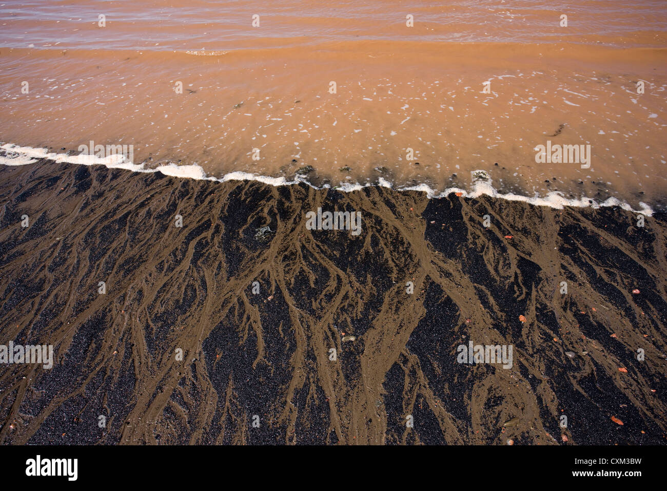 Die fossilen Strand bei Joggins, Nova Scotia, mit roten Meerwasser und schwarzem Sand mit Kohle Stockfoto