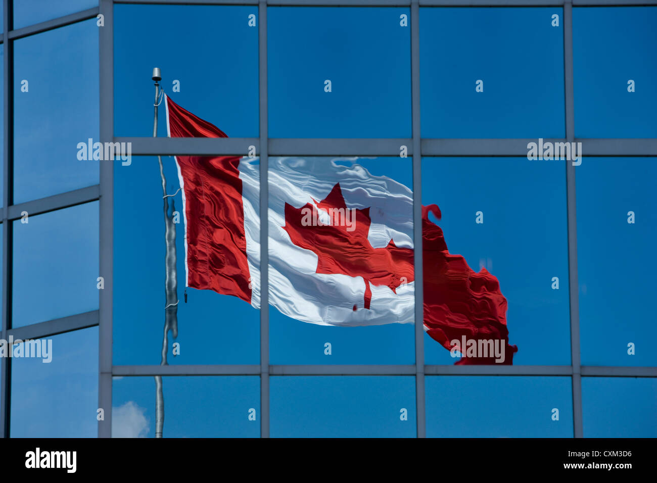 Eine kanadische Flagge spiegelt sich in dem Glas eines Bürogebäudes in Halifax, Nova Scotia Stockfoto