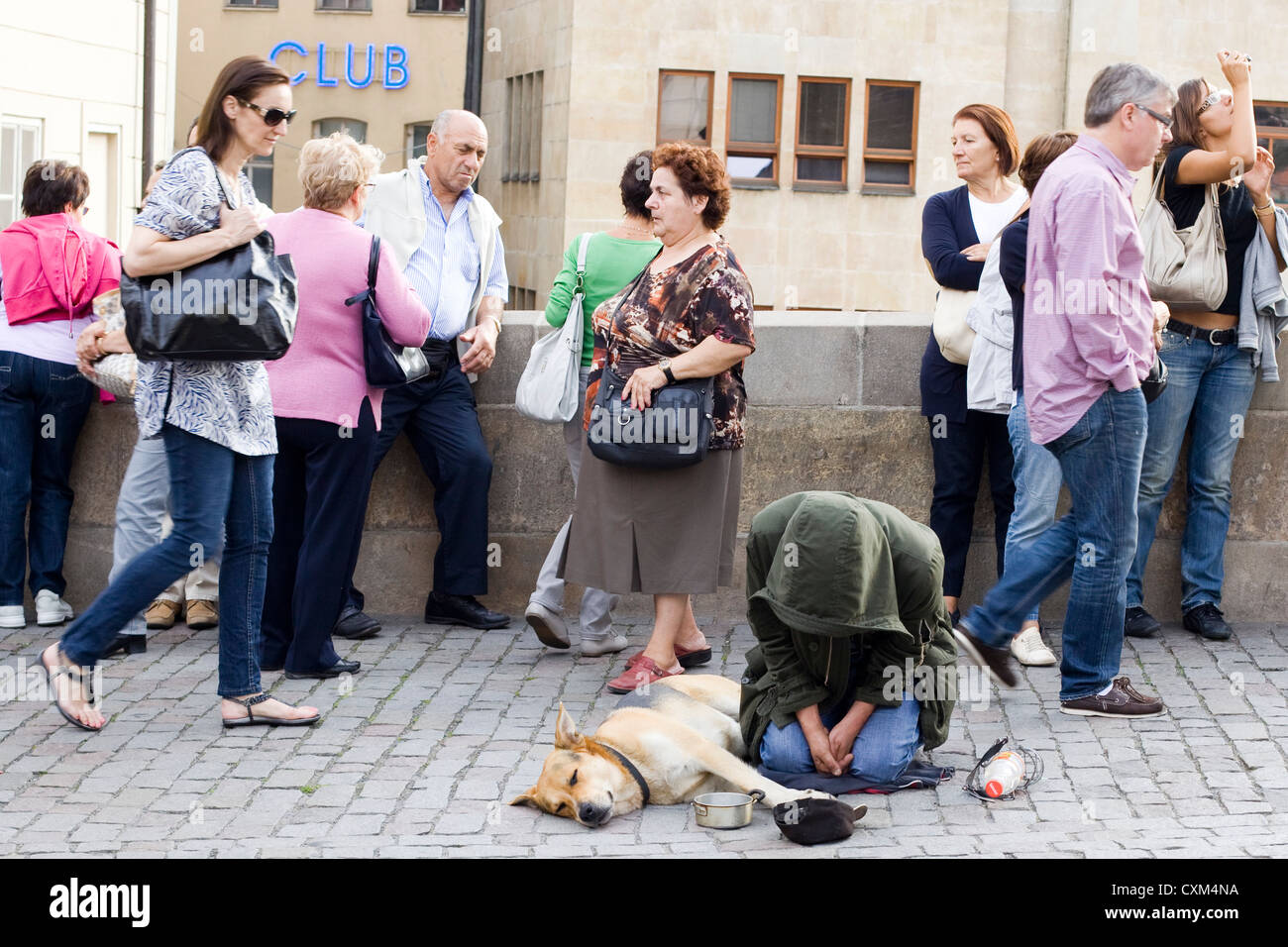 Bettler auf den Straßen von Prag mit seinem Hund Canis Lupus familiaris Stockfoto