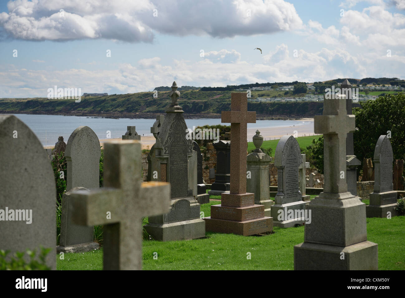 St. Andrews Cathedral Friedhof Schottland Stockfoto