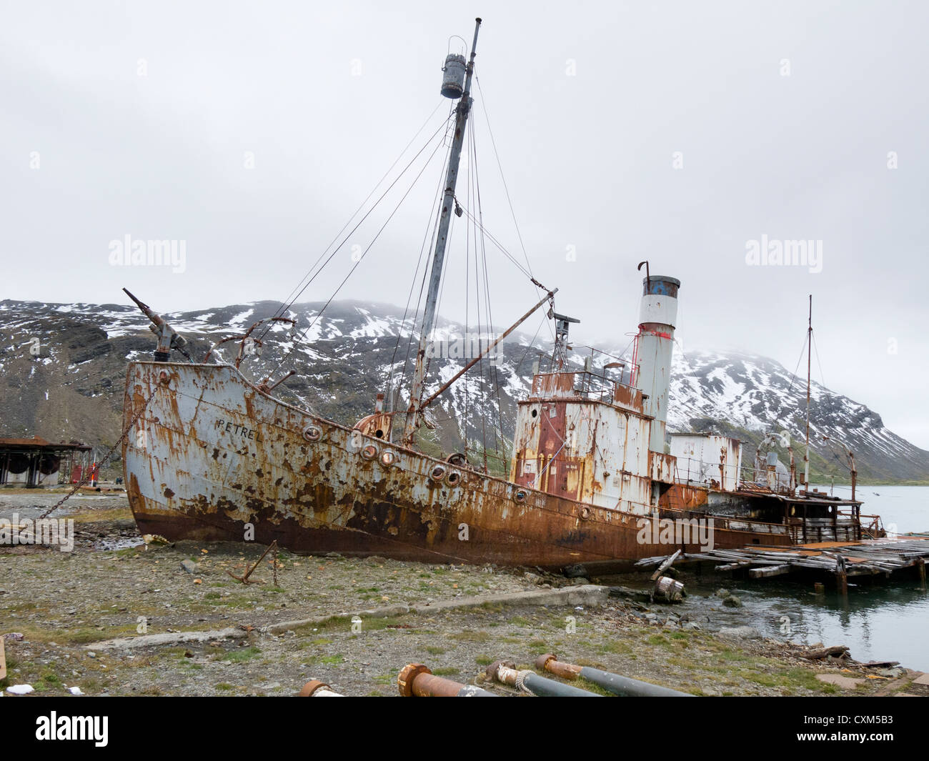 Ein verlassener Walfang Schiff, der Sturmvogel in Grytviken, South Georgia Island. Stockfoto
