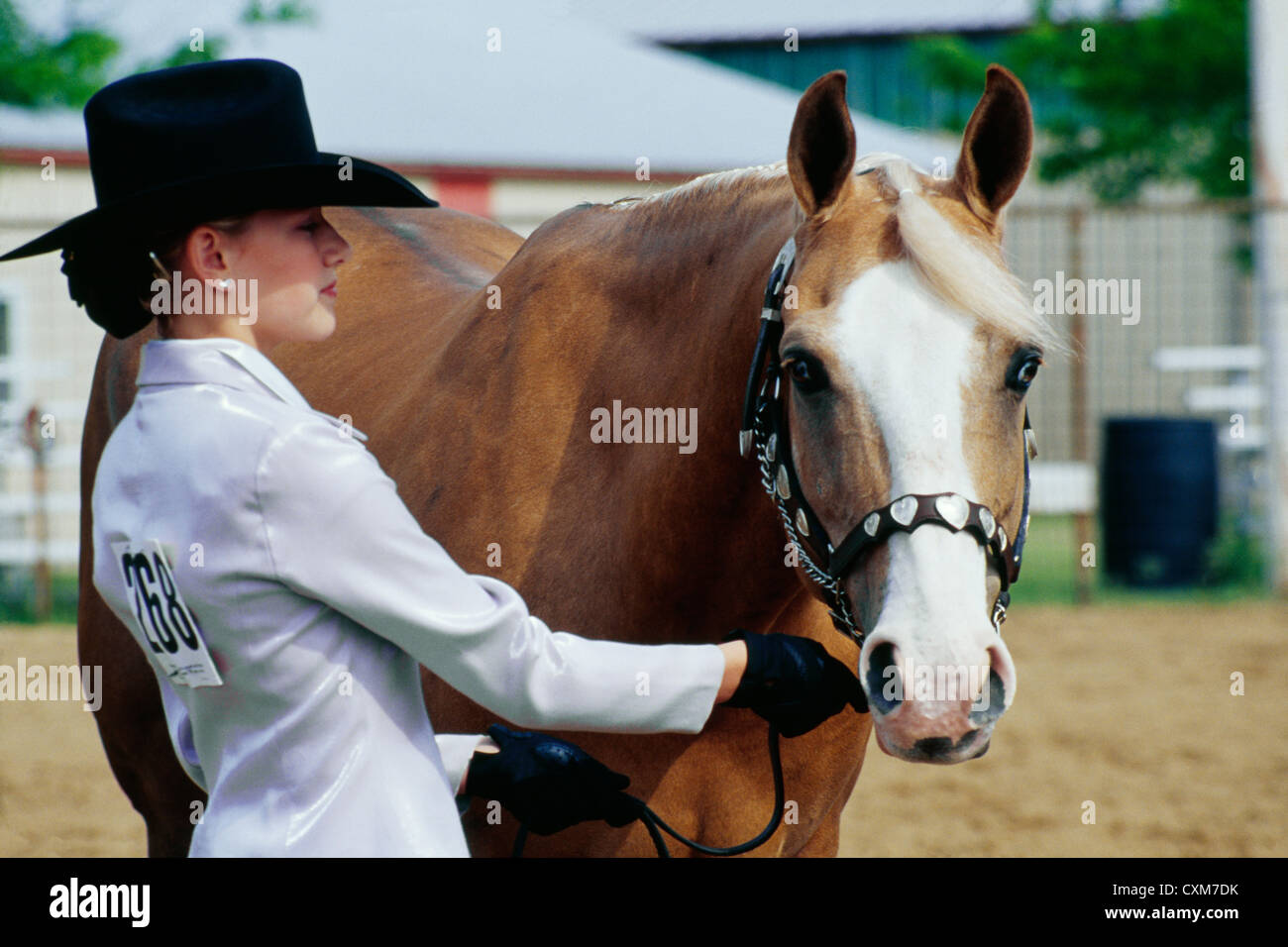 Rider with american quarter horse Fotos und Bildmaterial in hoher