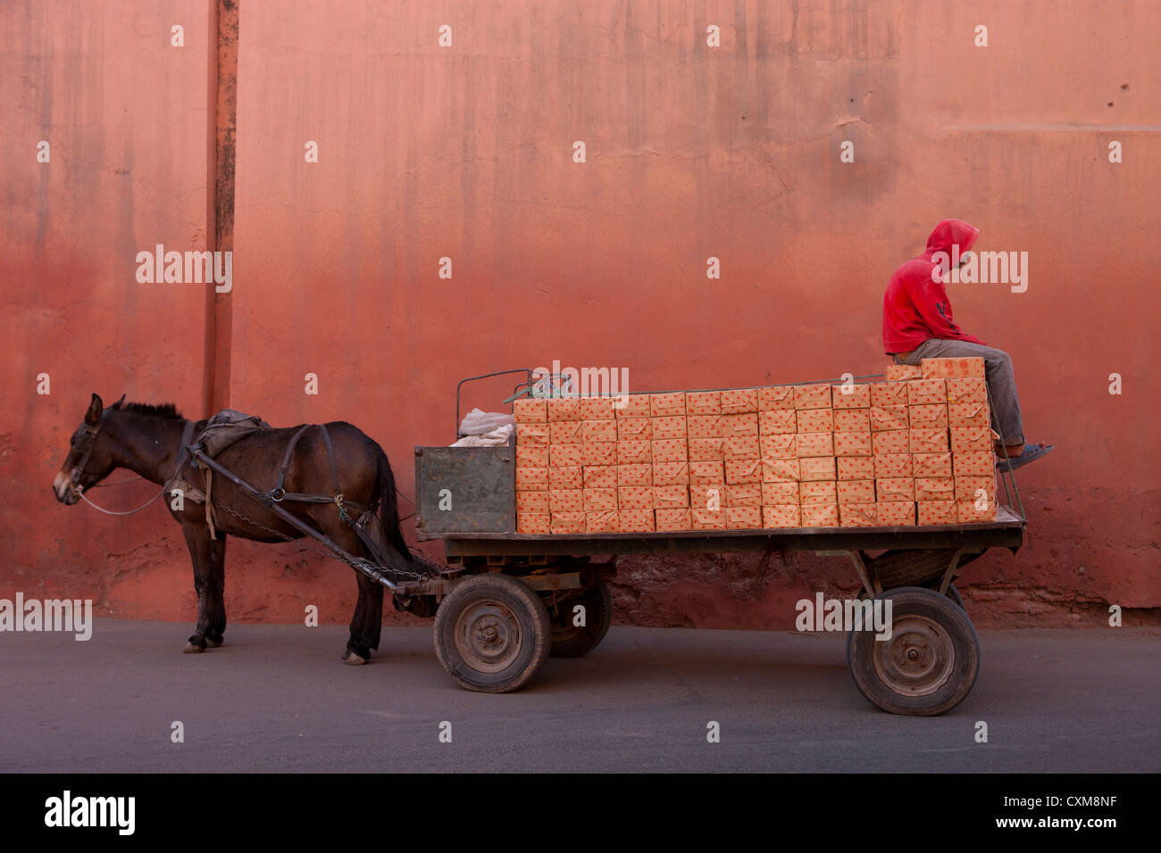 Pferd und Wagen Marrakesch, Marokko Stockfoto