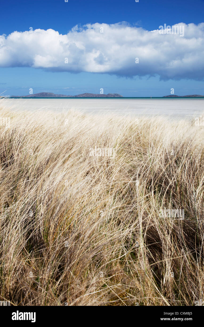 Blick auf Traigh Mhor hinter Maram Rasen bedeckt Sanddünen, Barra, äußeren Hebriden, Schottland, Vereinigtes Königreich Stockfoto