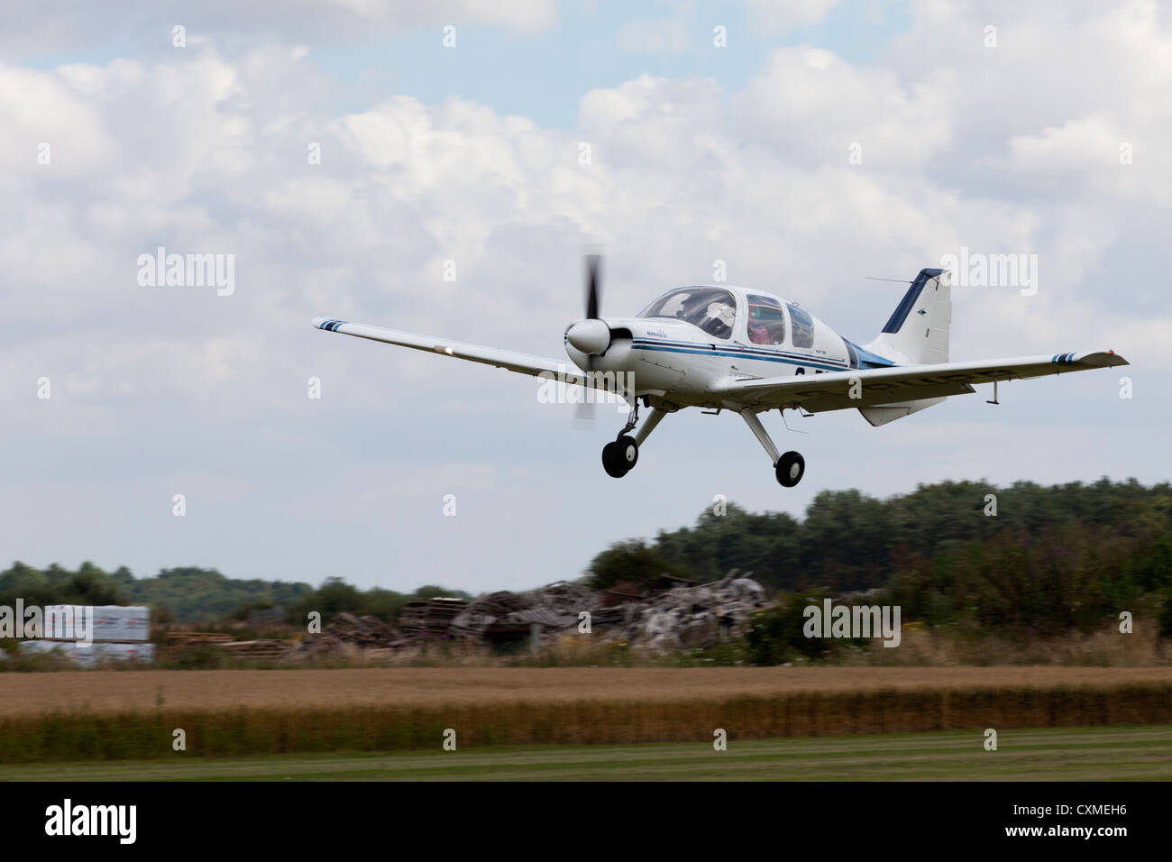 Beagle B121 Serie 2 Welpen 150 G-PUPP Massenermittlung Stockfoto