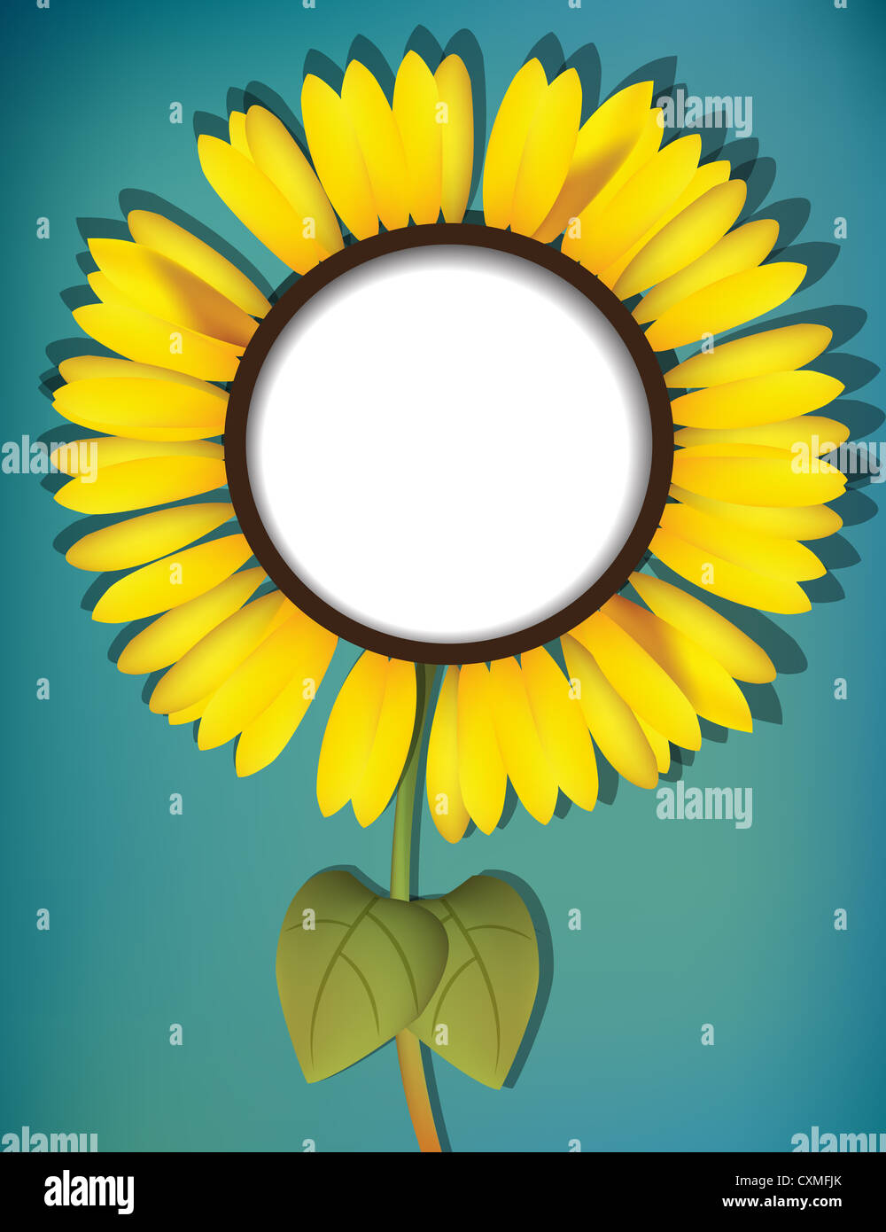 Eine große Sonnenblume mit textfreiraum für Ihren Text oder Ihre Nachricht Stockfoto