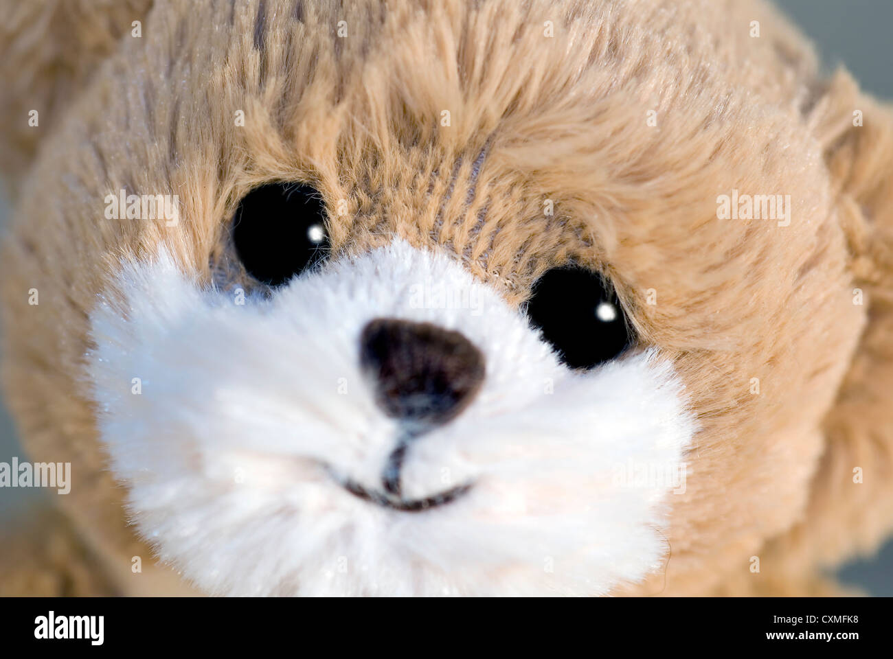 Nahaufnahme eines niedlichen Teddybären Stockfoto
