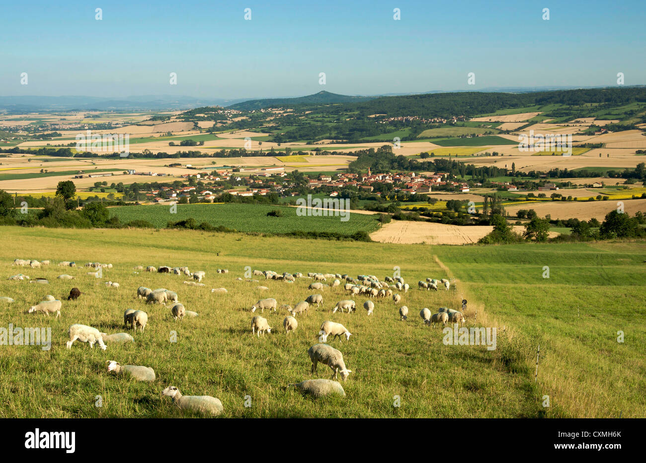 Landschaft in der Nähe der Lembronnais und Antoingt Dörfer, Auvergne, Frankreich im Sommer Stockfoto