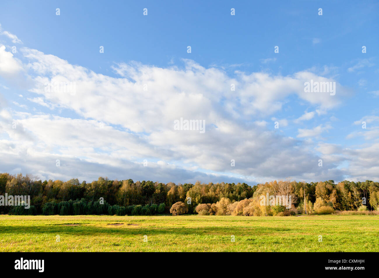 blauer Himmel und weiße Wolken über dem grünen Rasen im herbstlichen Wald Stockfoto