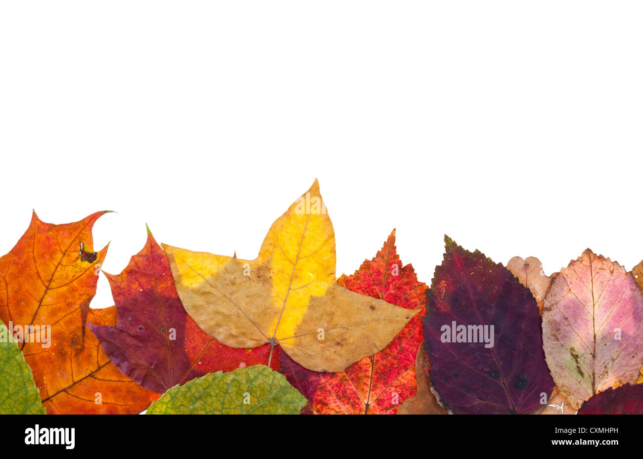 ein Seitenteil aus kunterbunten Herbst Blätter isolierten auf weißen Hintergrund Stockfoto