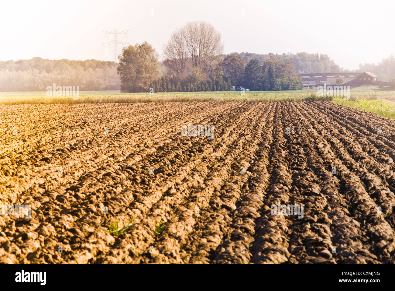 Landwirtschaft - gepflügtes Feld und Hof auf dem Lande am trüben Tag im Herbst Stockfoto
