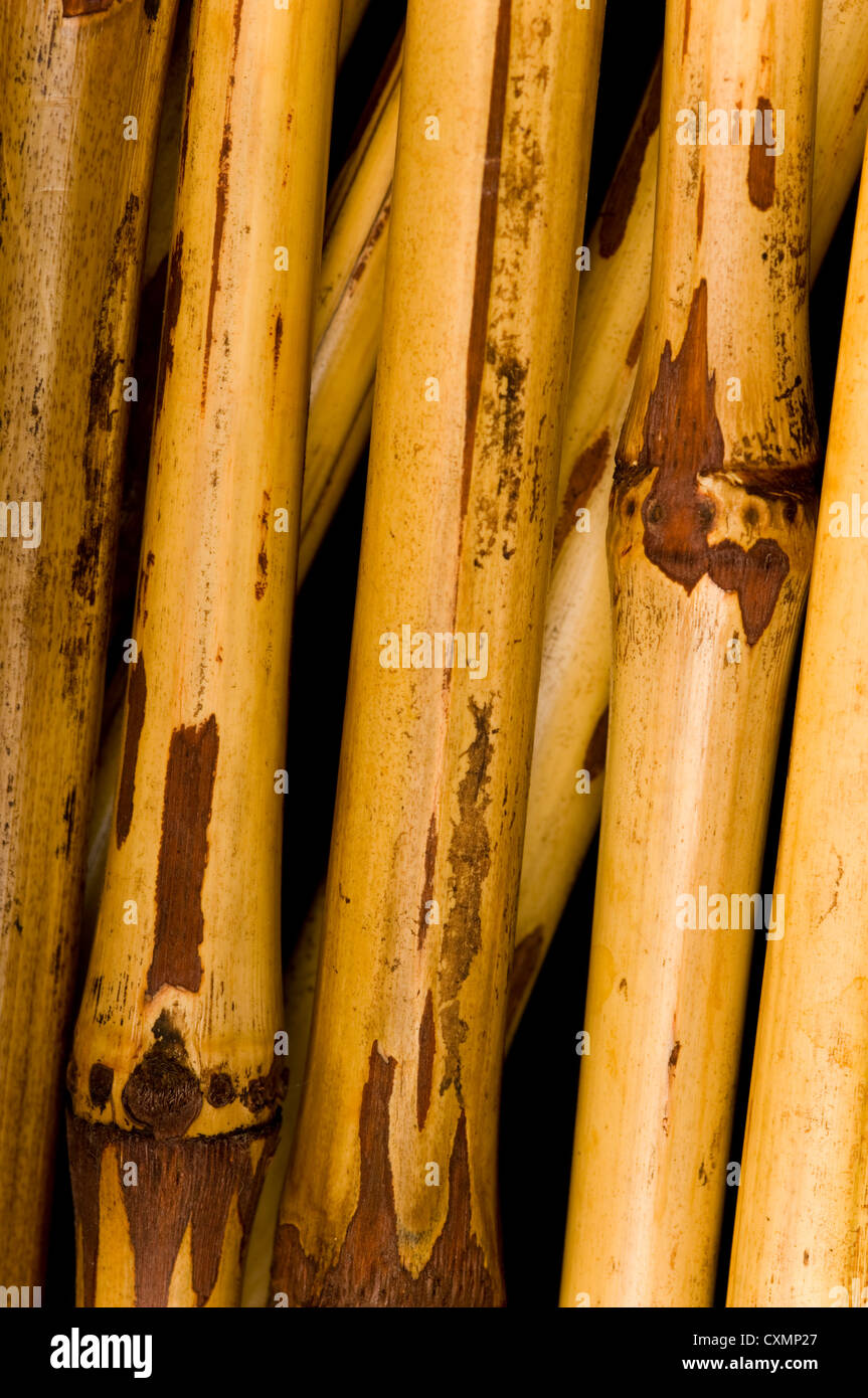 Getrockneter Bambus Hintergrund, mit mehreren sticks Bambus einige Mrchen  gerade und einige in einem Winkel Stockfotografie - Alamy