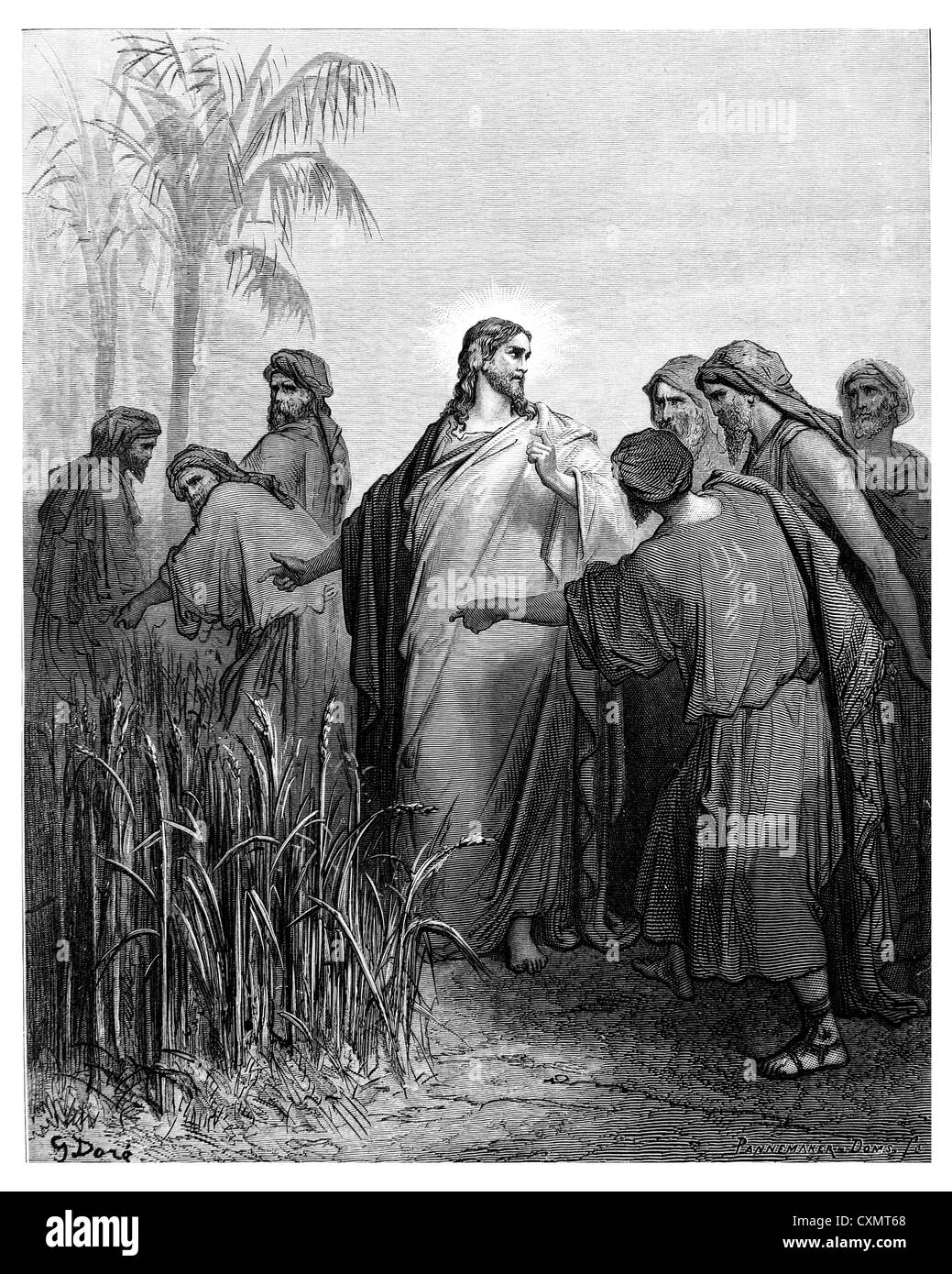Die Apostel reißen Korn am Sabbat Stockfoto