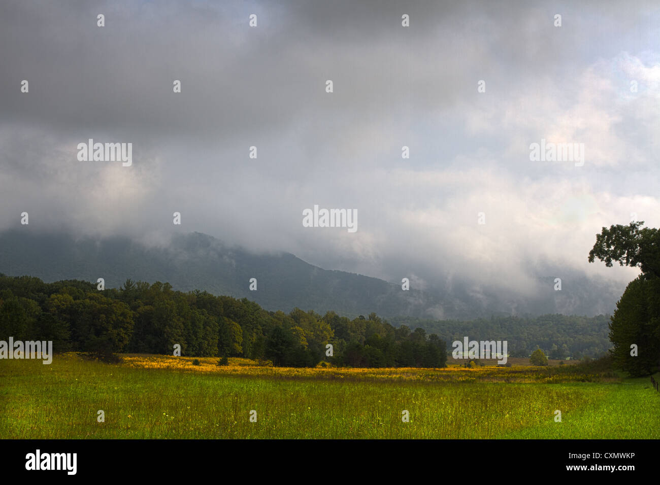 Dicke Wolken über Berge und Felder entlang Cades Cove Loop Road im Great Smoky Mountains National Park. Stockfoto