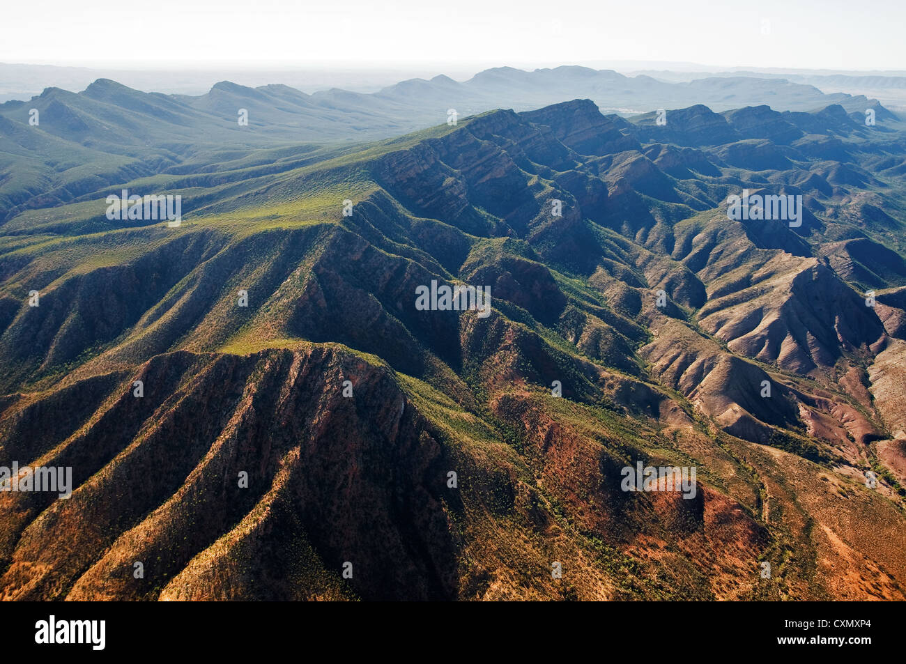 Luftaufnahme des Wilpena Pound Flinders Ranges National Park. Stockfoto