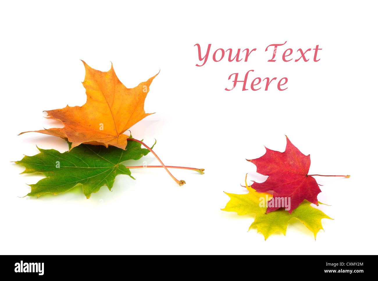 Herbst Blatt auf weißem Hintergrund mit Text-Raum Stockfoto