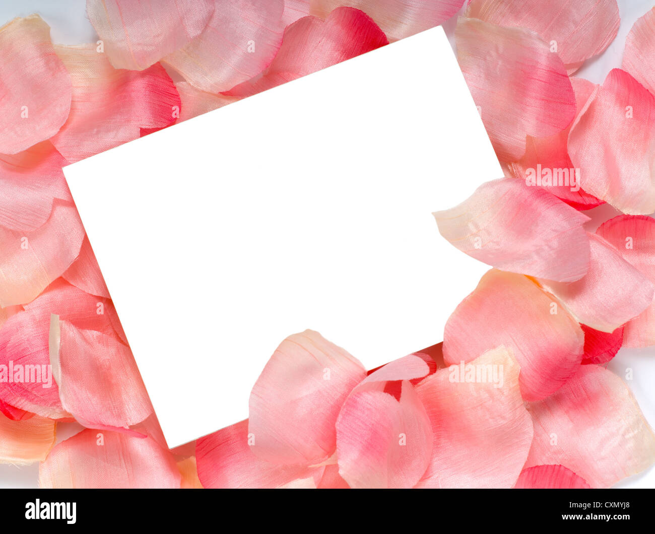 Rosenblatt Karteikarte für den Einsatz am Valentinstag, süßeste Tag oder für romantische Einladung oder Ankündigung Stockfoto
