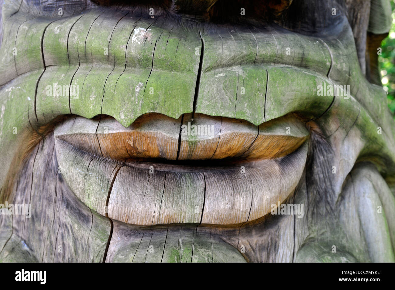 Ballintubbert geschnitzt House Gärten Stradbally Laois Irland Baumstamm Gesicht Abbildung Ents HNO Mensch Stockfoto