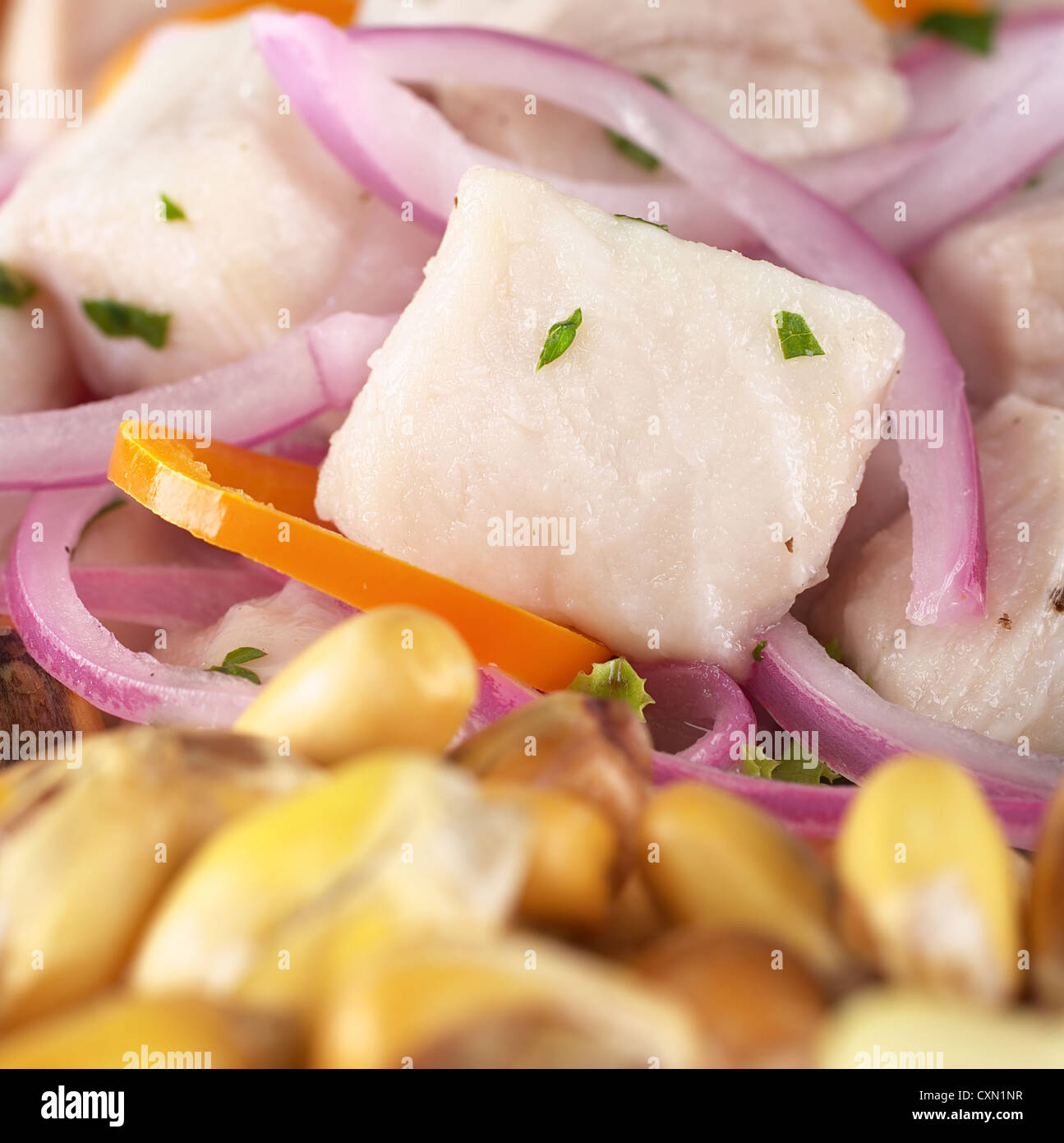 Peruanisch-Stil Ceviche aus rohen Katzenhai gemacht (Spanisch: Tollo), roten Zwiebeln, Aji (peruanische Paprika) Stockfoto