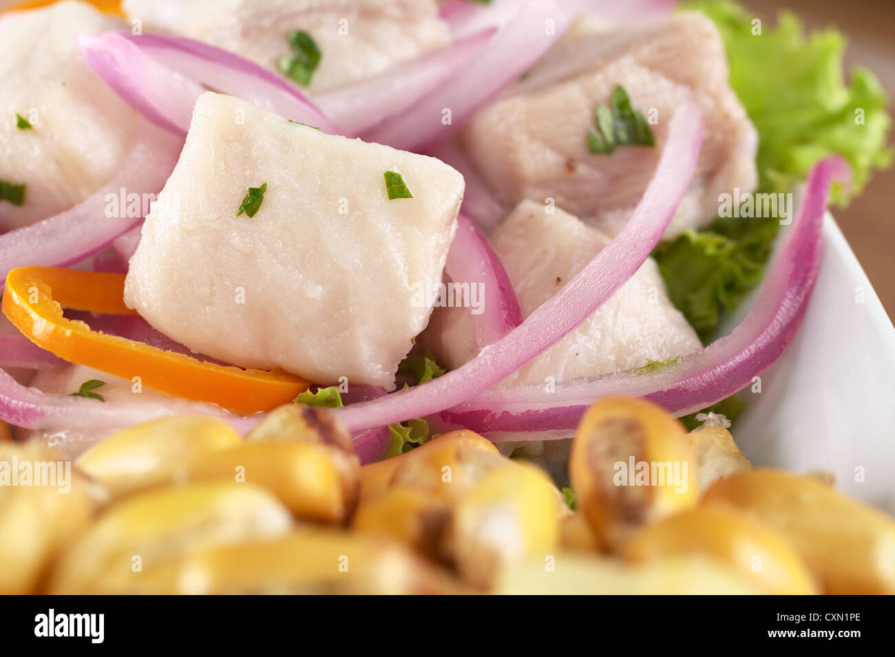Peruanisch-Stil Ceviche aus rohen Katzenhai gemacht (Spanisch: Tollo), roten Zwiebeln, Aji (peruanische Paprika) Stockfoto